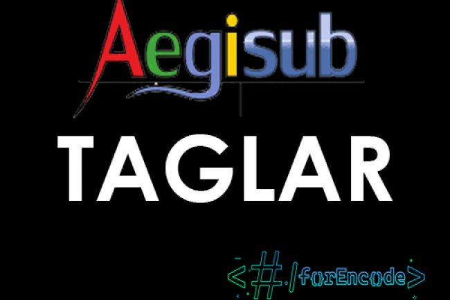 Aegisub Alt Yazı Düzenleme Tagları