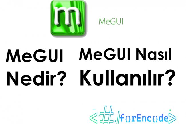 Megui Nasıl Kurulur ve Kullanılır?
