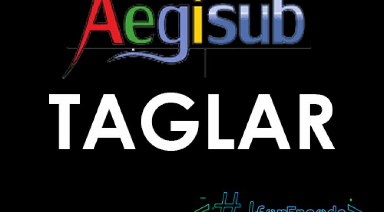 Aegisub Alt Yazı Düzenleme Tagları